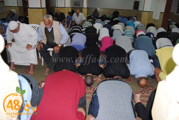 tarawe7 noorei (2).JPG